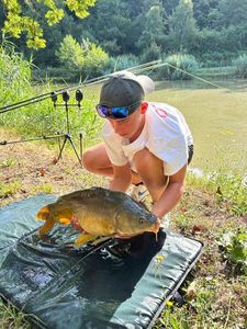 Mirror Carp