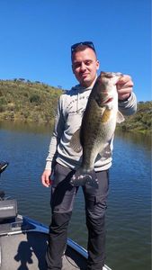 Smallmouth Bass
