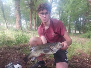 Largemouth Bass