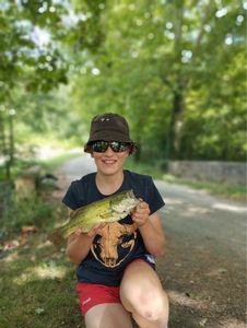 Largemouth Bass