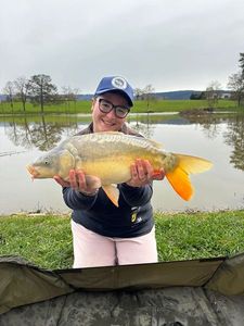 Mirror Carp