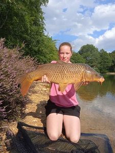 Common Carp