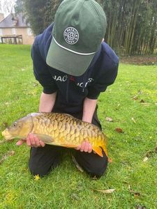 Common Carp