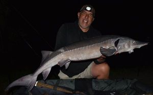 Siberian Sturgeon