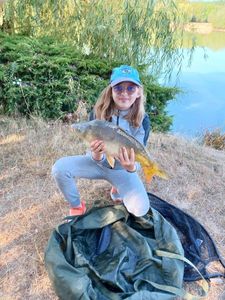 Mirror Carp