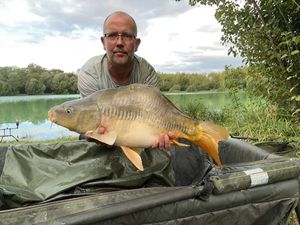 Mirror Carp