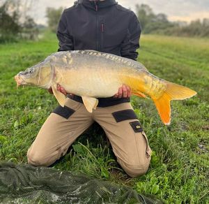 Mirror Carp