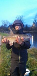 Barbel