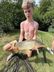 Common Carp