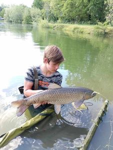 Grass Carp