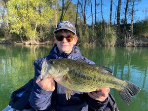 Smallmouth Bass