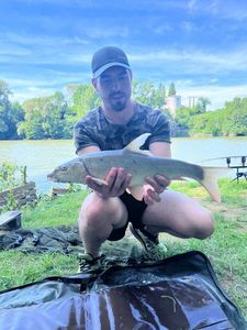 Barbel
