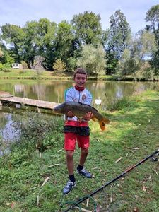 Common Carp