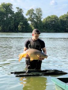 Mirror Carp