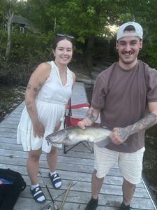 Channel Catfish