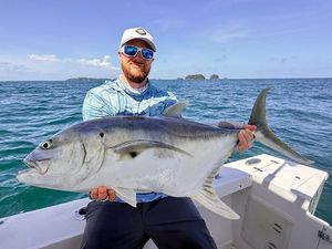 Crevalle Jack