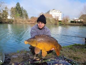 Mirror Carp