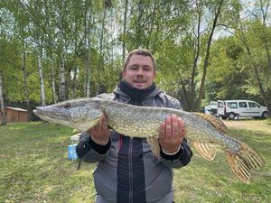 Northern Pike