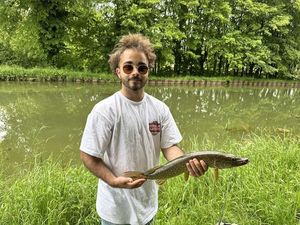 Northern Pike