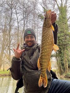 Northern Pike