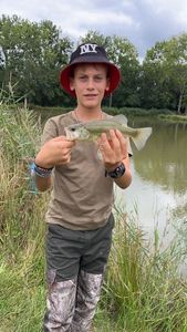 Largemouth Bass