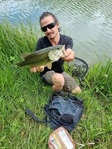 Largemouth Bass