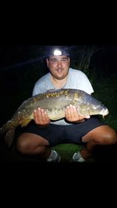 Mirror Carp