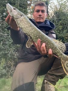 Northern Pike