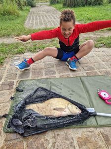 Common Bream