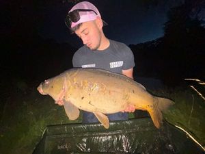 Mirror Carp