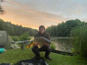 Mirror Carp