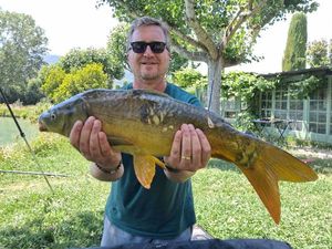 Mirror Carp