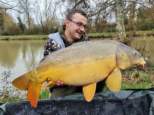 Mirror Carp