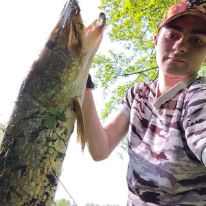 Northern Pike