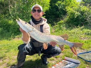 Northern Pike