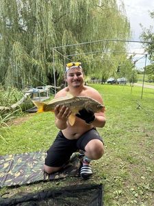 Mirror Carp