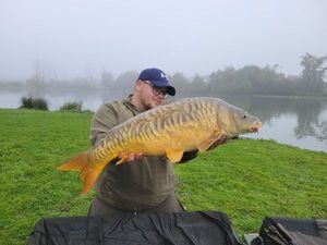 Mirror Carp