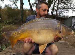 Mirror Carp