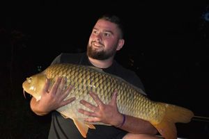 Common Carp
