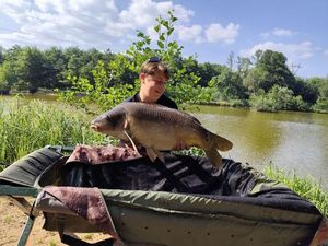 Mirror Carp
