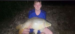 Mirror Carp