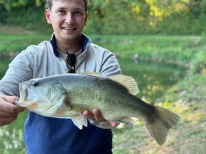 Largemouth Bass