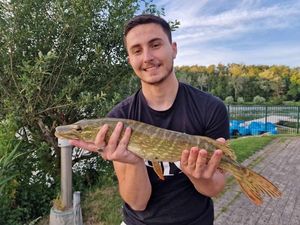 Northern Pike