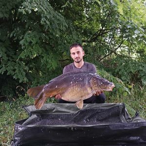 Leather Carp