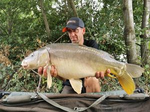 Mirror Carp