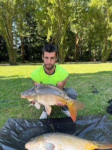 Mirror Carp