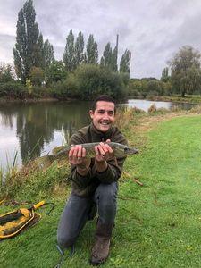 Northern Pike