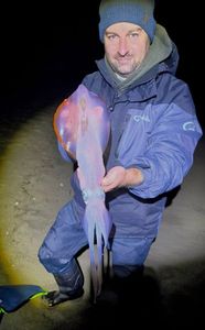 European Squid