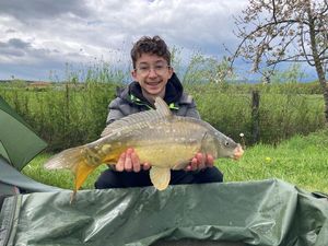 Mirror Carp