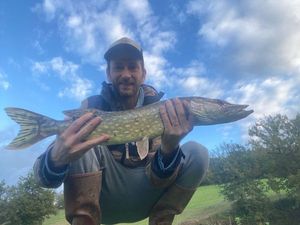 Northern Pike